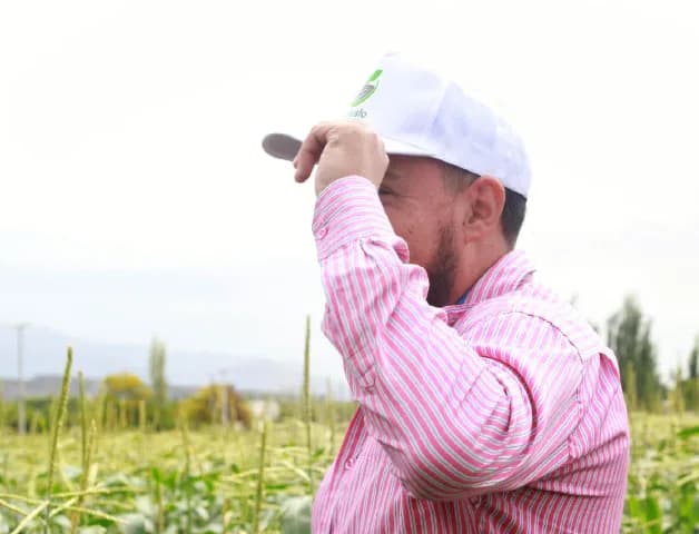 Productor y Elaborador de Alimentos